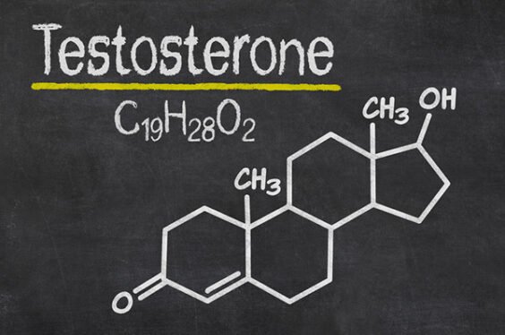 How To Boost Testosterone Naturally