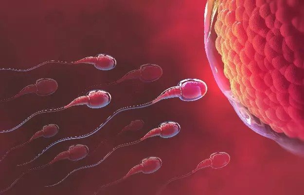 शुक्राणु (Sperm) कैसे बढ़ाएं? जानिए 10 असरदार Ayurvedic घरेलू उपाय