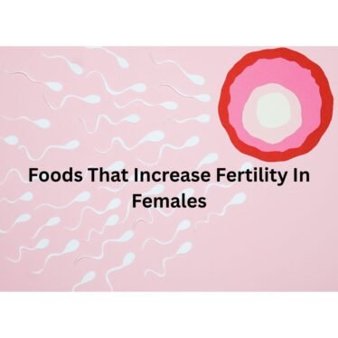 Foods That Increase Fertility In Females