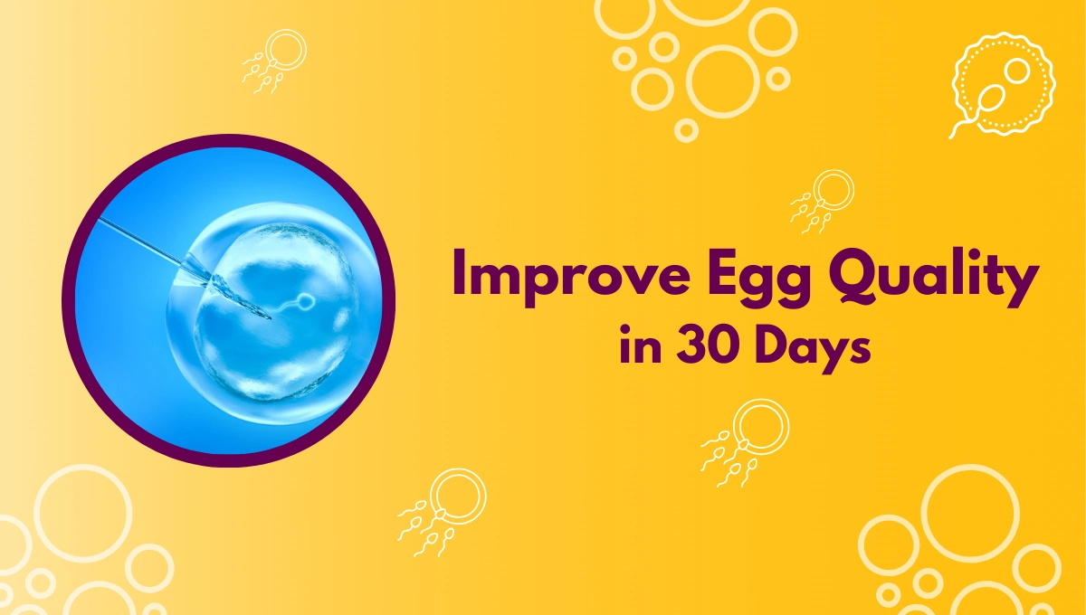 Improve Egg Quality In 30 Days Naturally